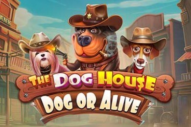 Играть в Thedoghousedogoralive Блиц Ред Казино